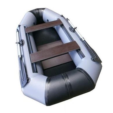Надувная лодка Energy F250