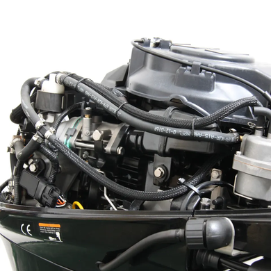 Лодочный мотор Parsun F20AFWL