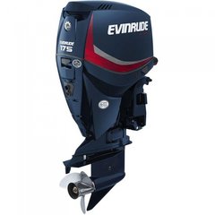 Лодочный мотор Evinrude E175 DPL