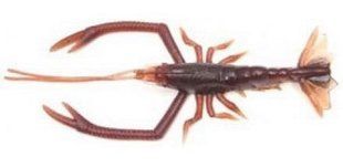 Силикон Vagabond V-Alive Crust Bug 4.5" col.01 scuppernong (1808.01.67)