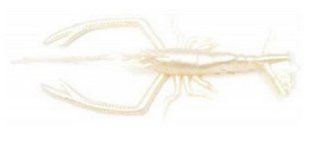Силикон Vagabond V-Alive Crust Bug 4.5" col.16 perl white glow (1808.01.17)