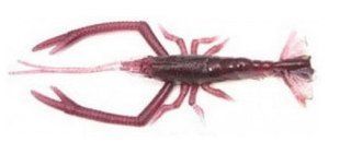 Силикон Vagabond V-Alive Crust Bug 4.5" col.38 zarinagi (1808.01.64)