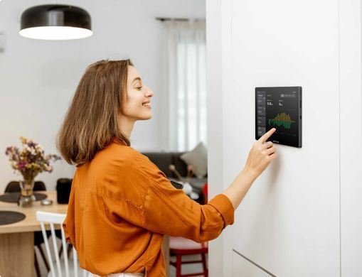 Система умный дом EcoFlow PowerInsight