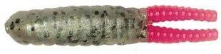 Силикон Big Bite Baits Beetle 1.5" Rainbow trout 10 шт (1838.01.73)