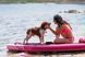 Надувная SUP доска Aqua Marina Coral Advanced All-Around 11.6 iSUP (BT-22CTP)