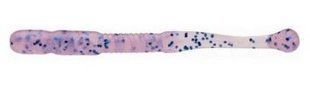 Силикон Ecogear Power Worm Shirasu 2" 48mm 292: Clear Pink Glow (Luminous Colour) Blue Fl (1561.05.76)