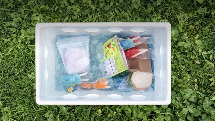 Холодильник с аккумулятором EcoFlow Glacier Classic 35 л